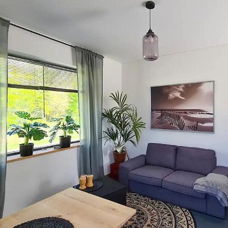 Studio Tussen De Bossen En De Bollenvelden Noordwijkerhout Exteriör bild